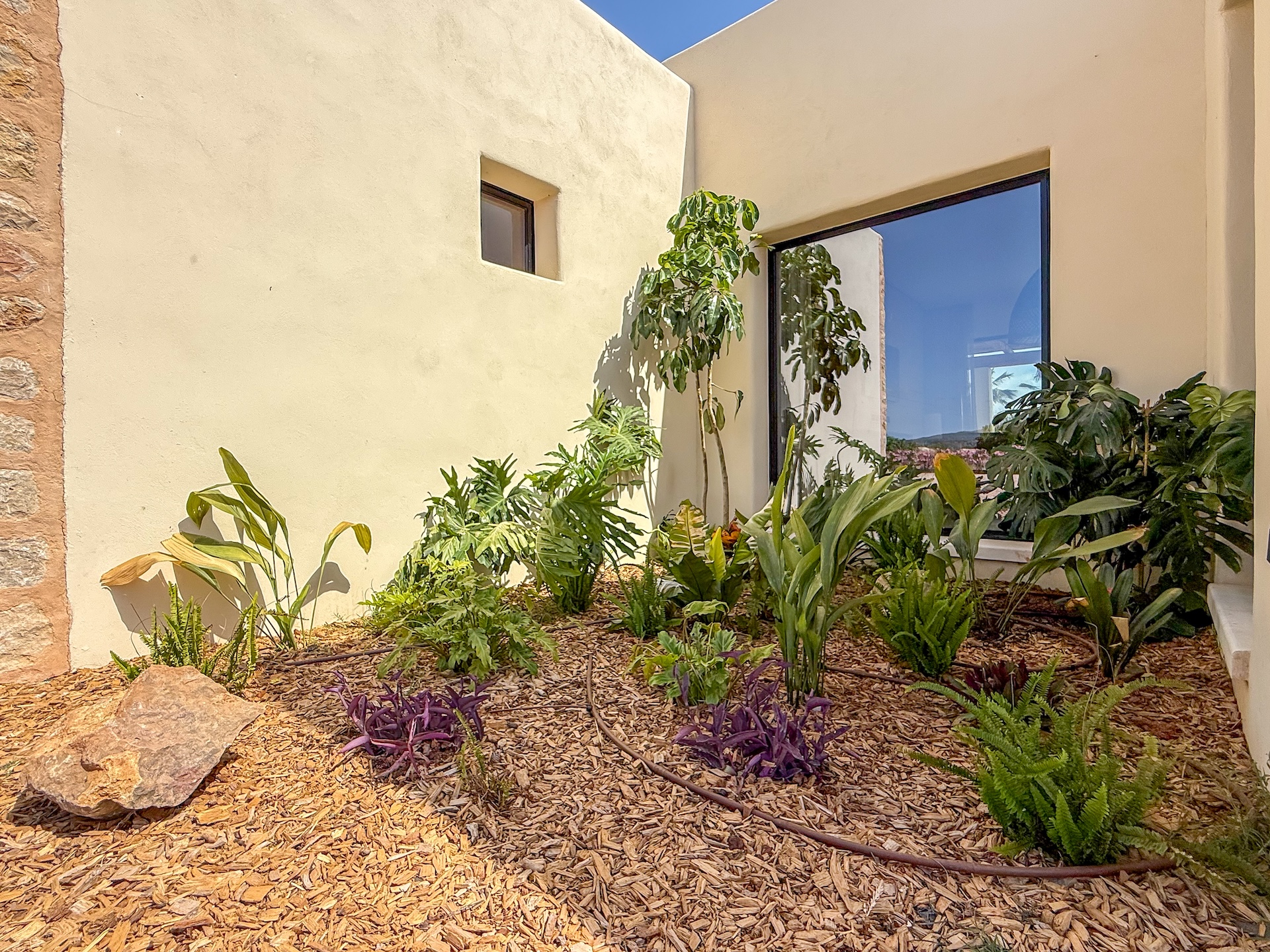 Resa estates Ibiza finca can Tumas for sale garden 4.jpg